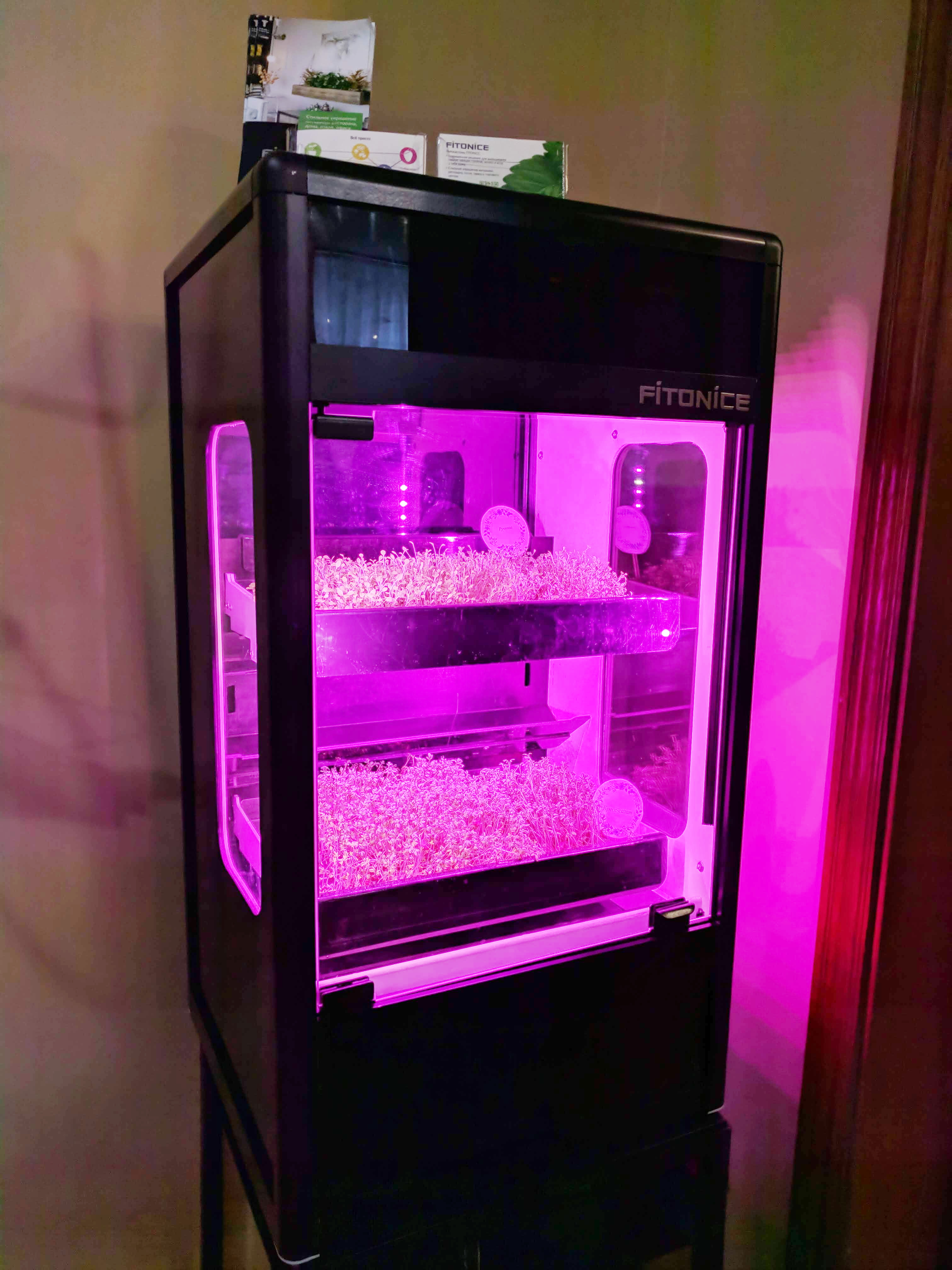 Ресторан "Green House"