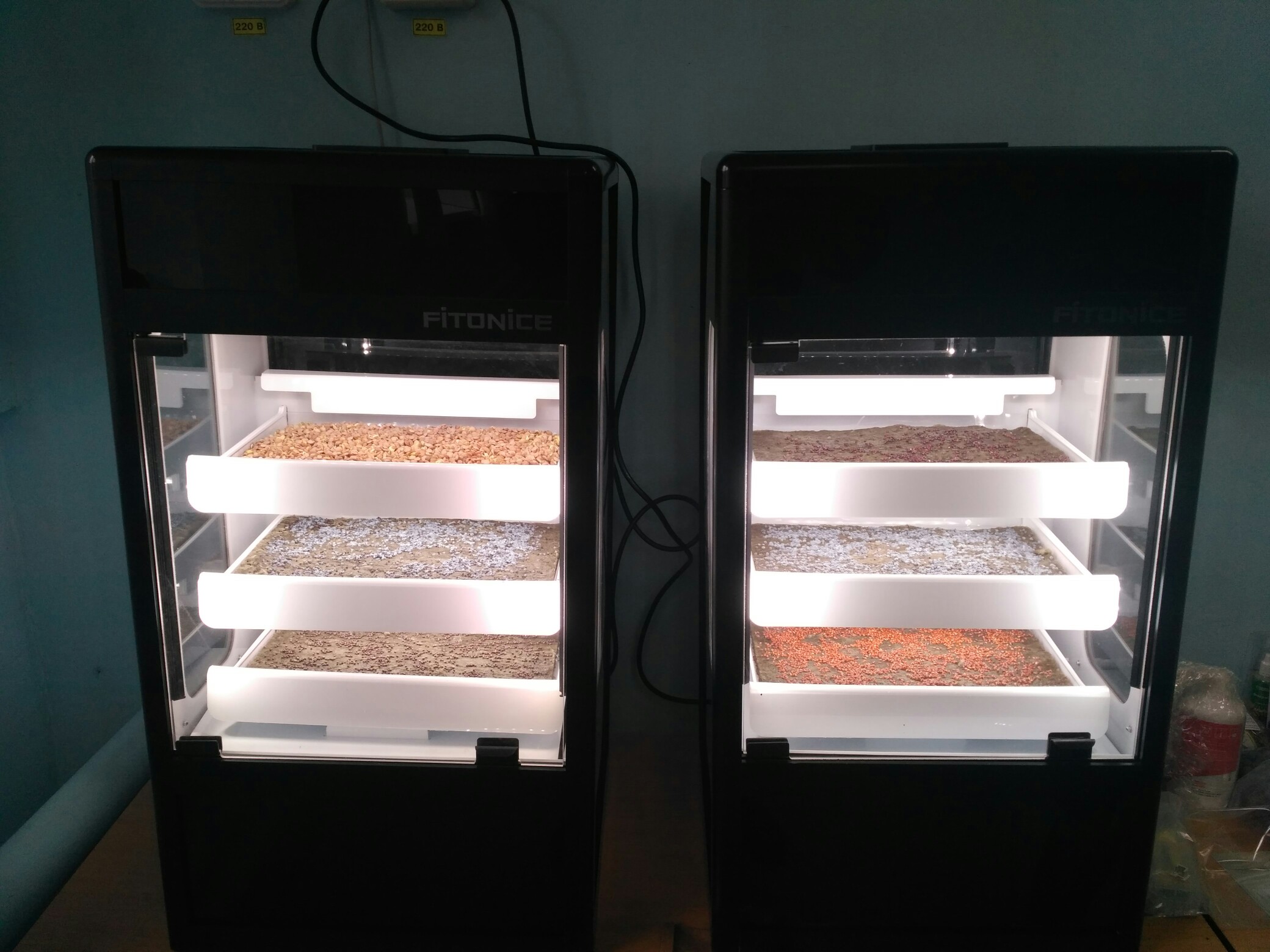 Дмитрий Зарипов