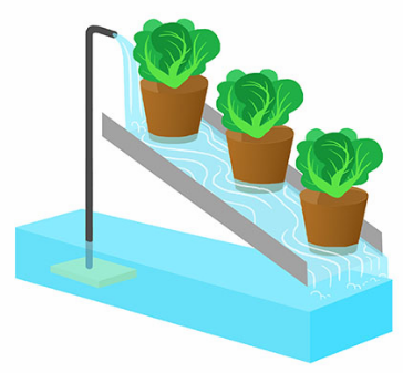 Принцип аквапоники