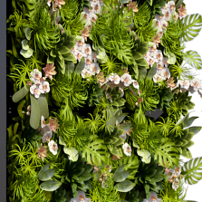 Вертикальное озеленение. Фитосистема Fitinice "Фитостена" - гидропонная установка.