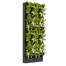 Модульная система вертикального озеленения фитостена "Fitonice".