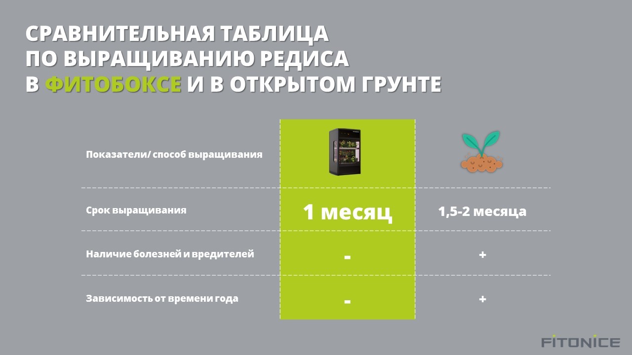 редис2.jpg