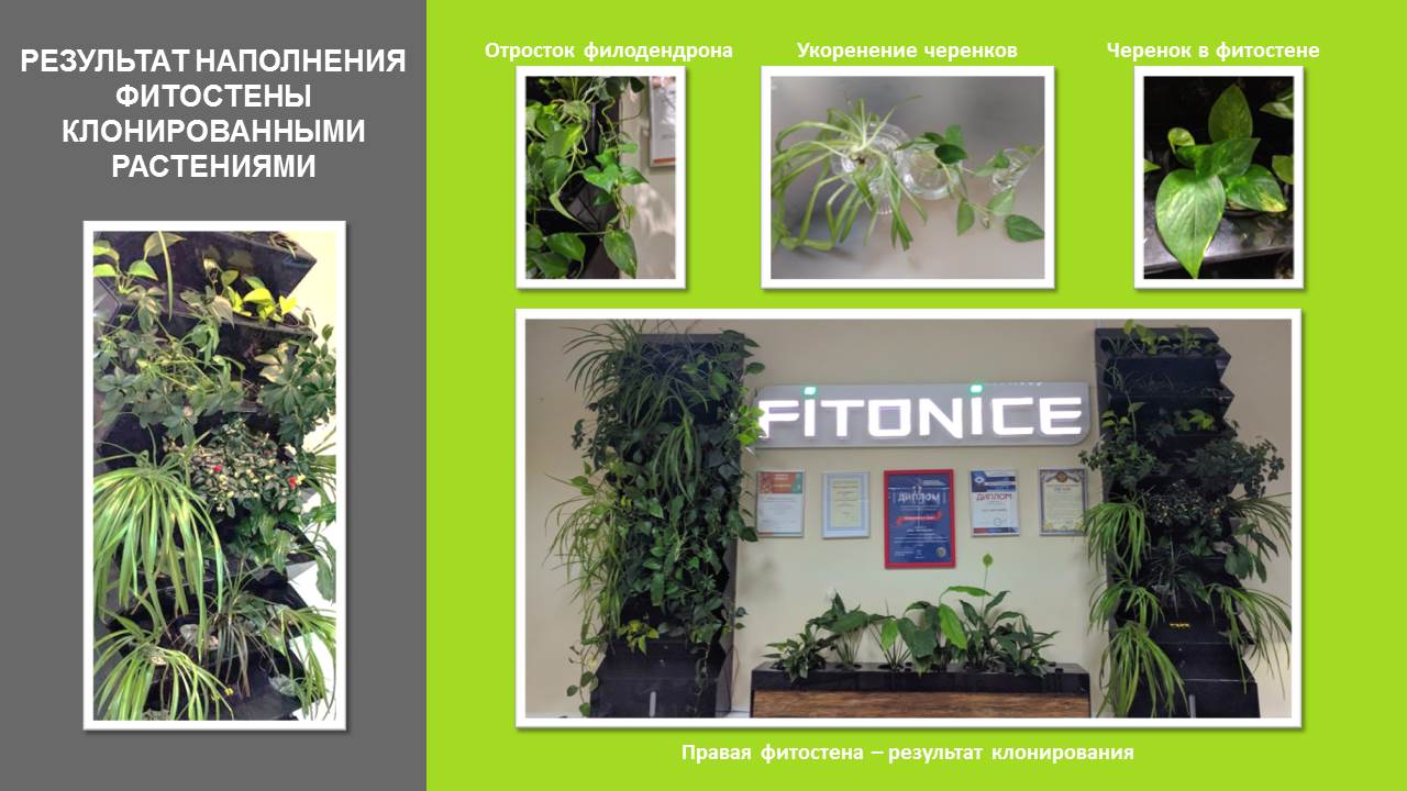 Слайд6.JPG