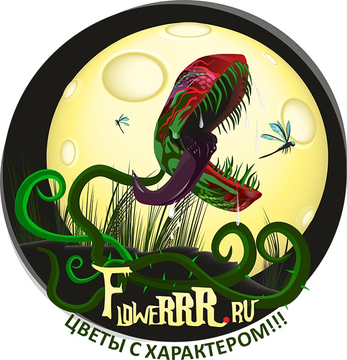 хищные растения.jpg